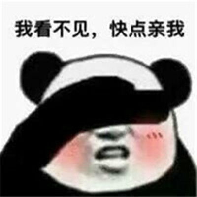 最新金馆长熊猫头超级搞笑很热门的经典微信聊天表情