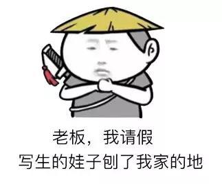 表情包各省请假理由,看看有没有你的