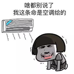 今日份表情包