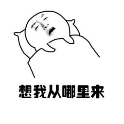 金馆长表情包想每天要做什么