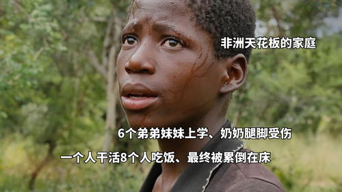 这应该是非洲的天花板,一个人干活8个人吃饭,最终被累到趴下