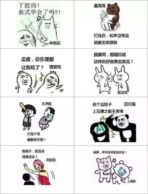 每周一侃对方不想和你说话,并向你扔了音乐生必备表情包