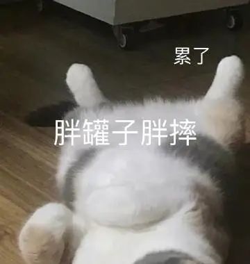 小鹿表情包胖胖