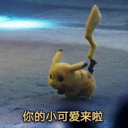 研活动丨2019年龙马青研,绽放风采短视频大赛火热来袭