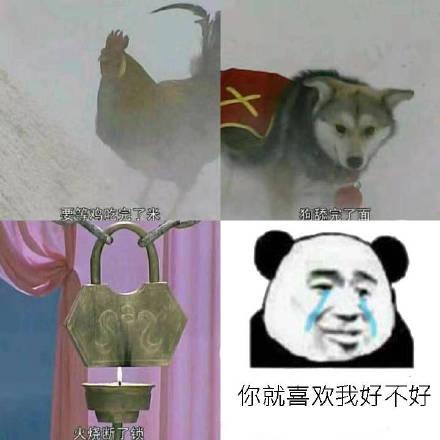斗图表情包精选33张你这表情包不行啊还有水印
