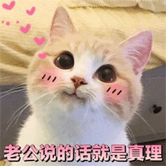 如果老公生气了那一定是我错了可爱猫咪表情包老公永远都是对的迷妹少女心表情包下载乐游网游戏下载