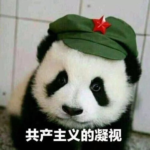 地铁站查身份证的目的是什么呢