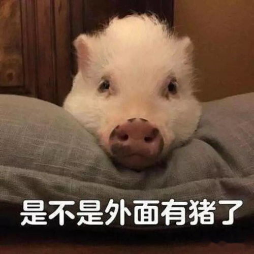 大盘应有修复,调整周期尚未来到