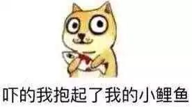 八卦说当爱豆又上了热搜......