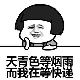 表情包天青色等烟雨,而我在等快递,我的快递是被火烧了吗