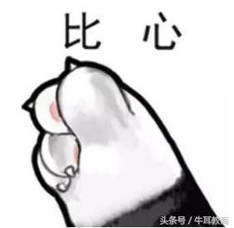 学生周记丨保持初心,一路向前