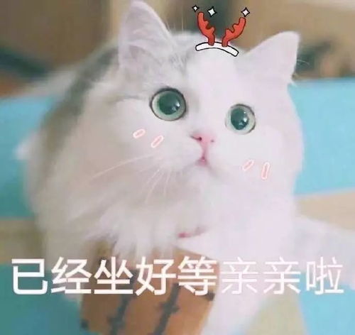 搞笑佛祖表情包段子
