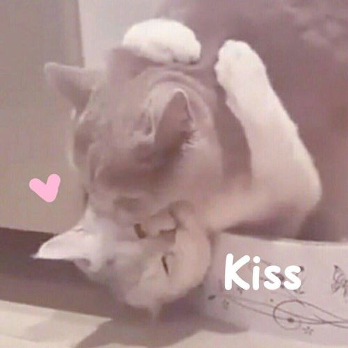 默认