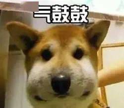 可怕泸州这个小区居民楼下养蜜蜂,小朋友路过被蜇邻居慌了
