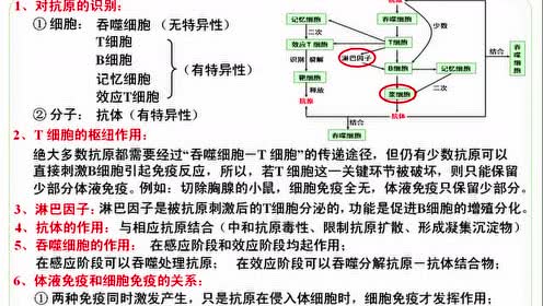 免疫细胞干它的表情包