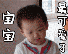给我看看你的表情包搞笑gif