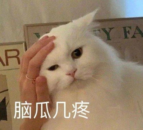 千万不要随便住酒店哈哈哈哈被隔壁骚操作吓到报警
