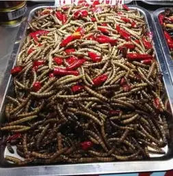 男人过40岁,鸡鸭类要少吃要多吃下面这些食物,营养还解馋