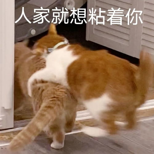 一个年轻人跟我讲自己喜欢996