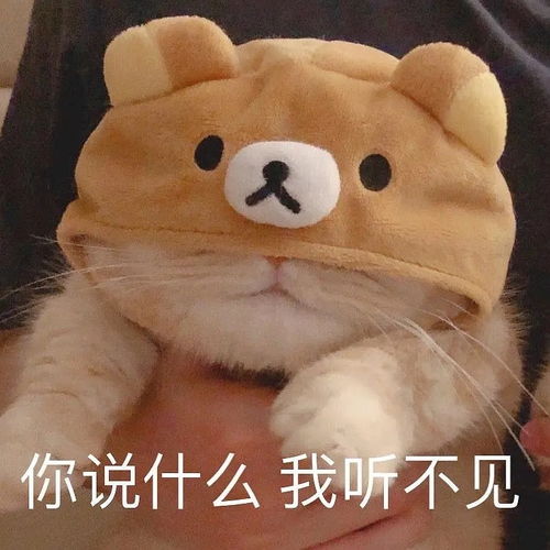 ae脚本,插件,扩展和预设的区别与安装