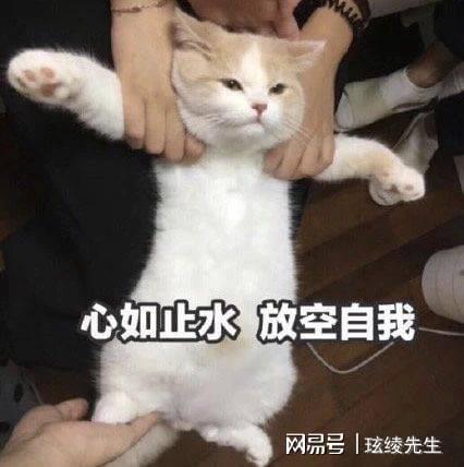 春困秋乏夏打盹,好好睡觉也是一种修行