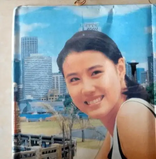 八零后都用过的笔记本,封面印着明星照片,里面写着秘密心情