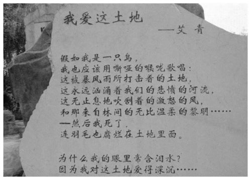 艾青为追自己的学生,不惜下跪跳湖同原配离婚,结果如何