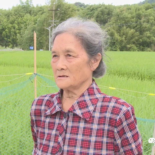 给力木格乡93岁高龄老人主动接种新冠疫苗,你打疫苗没