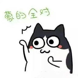 安阳威佳现代