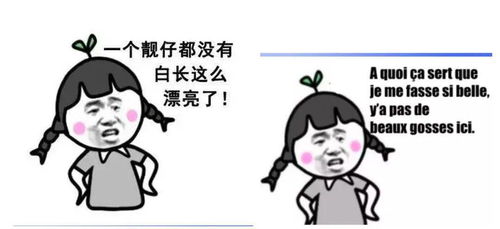 聊天尬住不如回复一个法语表情包