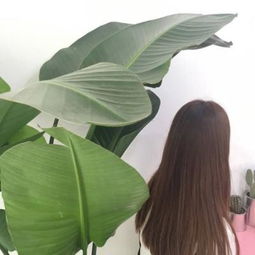韩国热门好看女生微信背影头像我冷酷无情全都拜你所赐