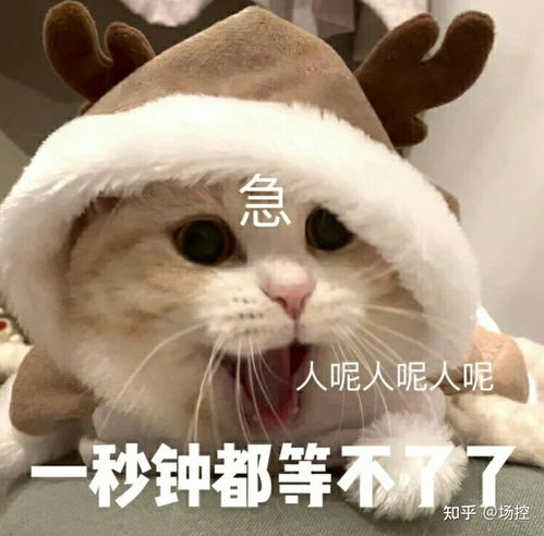 有哪些文案让人一看就知道你很有趣