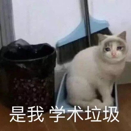 小彻的相册表情包存档