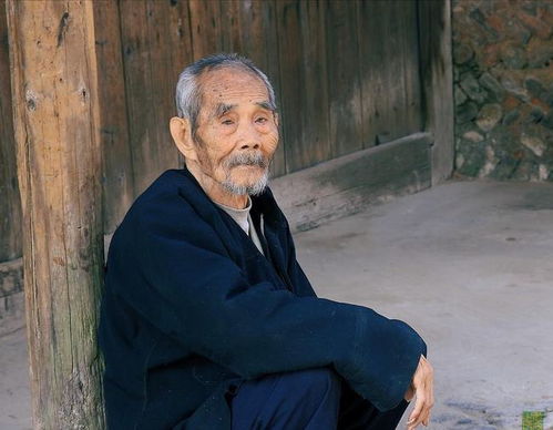 84岁的老人去养老院卧底,发现一个扎心真相老人害怕的不是生病