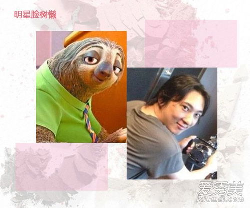 疯狂动物城这个角色太像那个脸被撞的明星了
