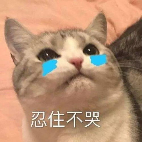 紧急预警冷空气组团夹击苏州,大降温马上杀到