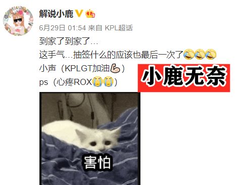 小鹿抽到ag那一刻,表情太可爱了一副我做错事了的样子