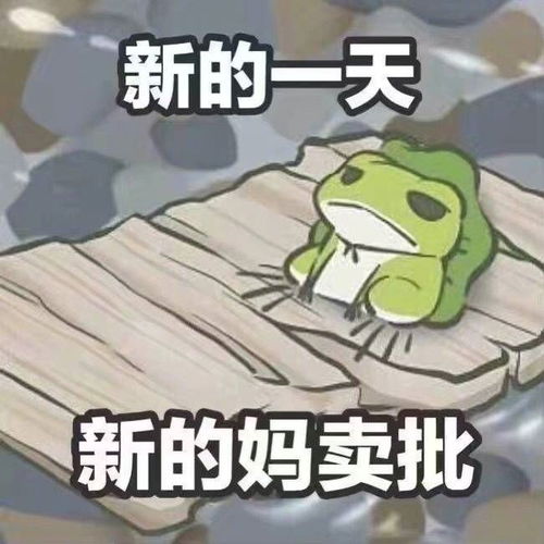 别再追我了表情包头像
