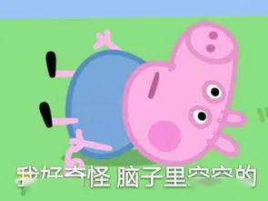 pig是猪,head是头,但pigheaded可不是猪头