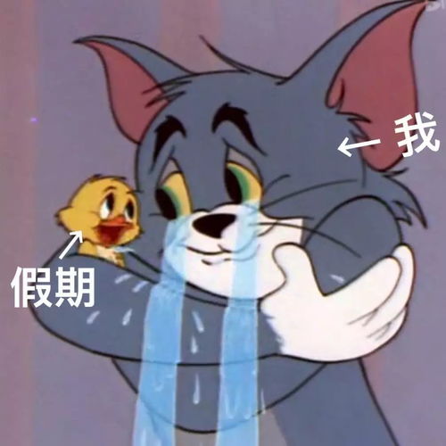 沙雕可爱的开学文案来啦内含开学表情包