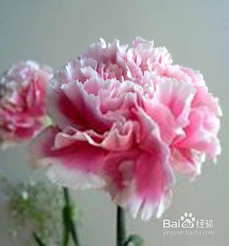 母亲节送什么给母亲
