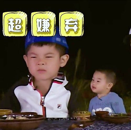 初次装修,地面装修是选木地板还是瓷砖