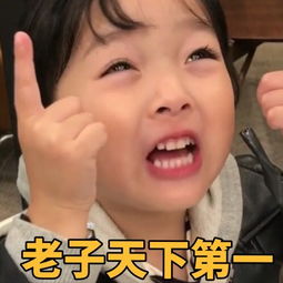 网络常见表情包之权律二