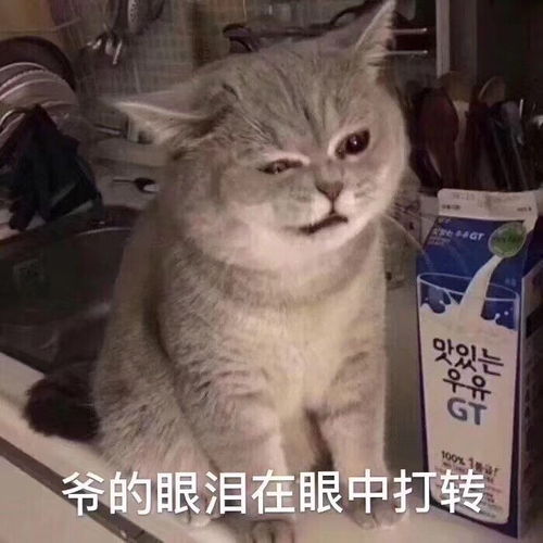 你们追剧追完了会不会有失落感啊