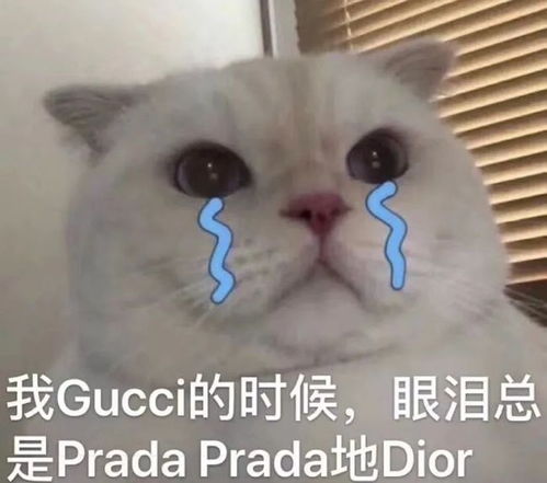 你们都没看懂冯小刚新剧