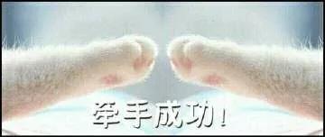 科幻游戏先行者诺亚传说的倔强