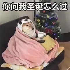 一波波波波圣诞表情包来啦还有专属情侣头像