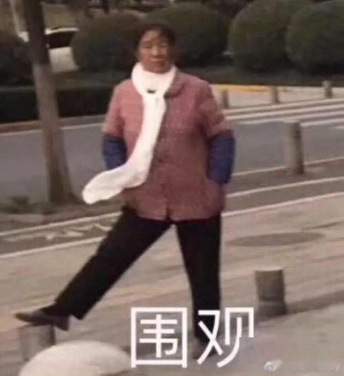 她换这个头像算故意挑衅吗