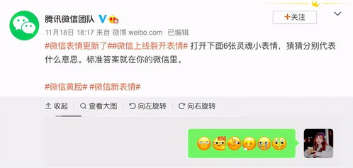 telegram表情包导入微信愚孝