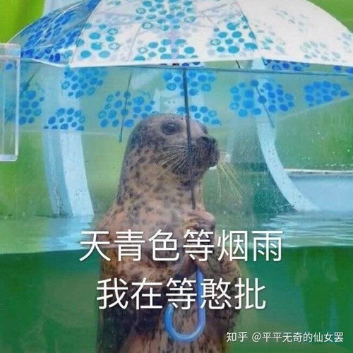 报告写了一半突然找不到了脑子里在想什么